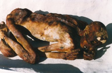Ginger Mummy Picture