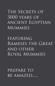 Mummy Secrets