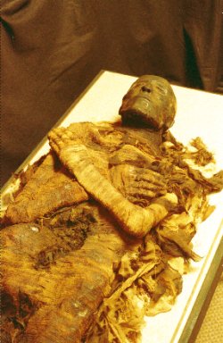 Seti Mummy Picture