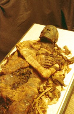 Mummy Pharaoh